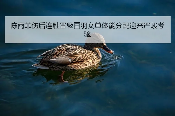 陈雨菲伤后连胜晋级国羽女单体能分配迎来严峻考验