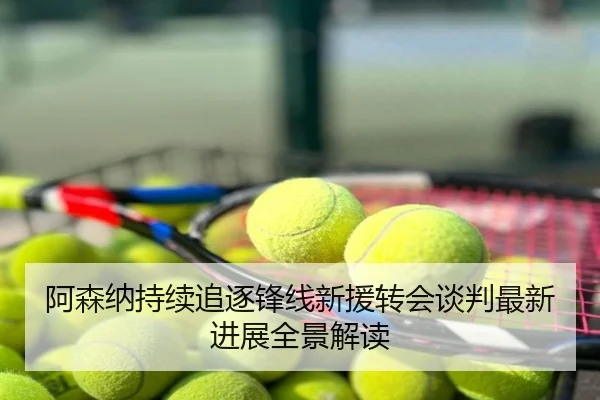 阿森纳持续追逐锋线新援转会谈判最新进展全景解读
